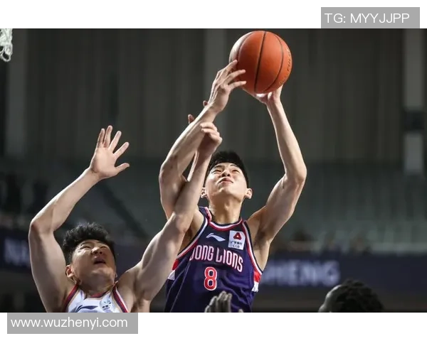 专访杨磊：探寻篮球领域成功背后的秘密与经验分享