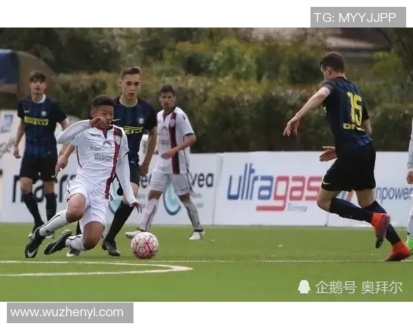 克罗地亚足球明星3号的传奇旅程与辉煌成就揭秘